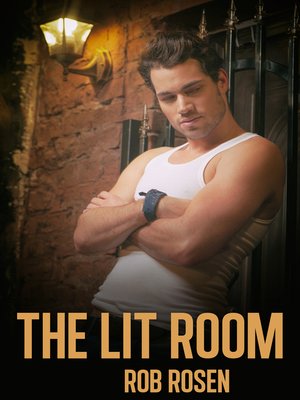 cover image of The Lit Room